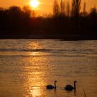 Sonnenuntergang mit Publikum