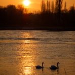 Sonnenuntergang mit Publikum