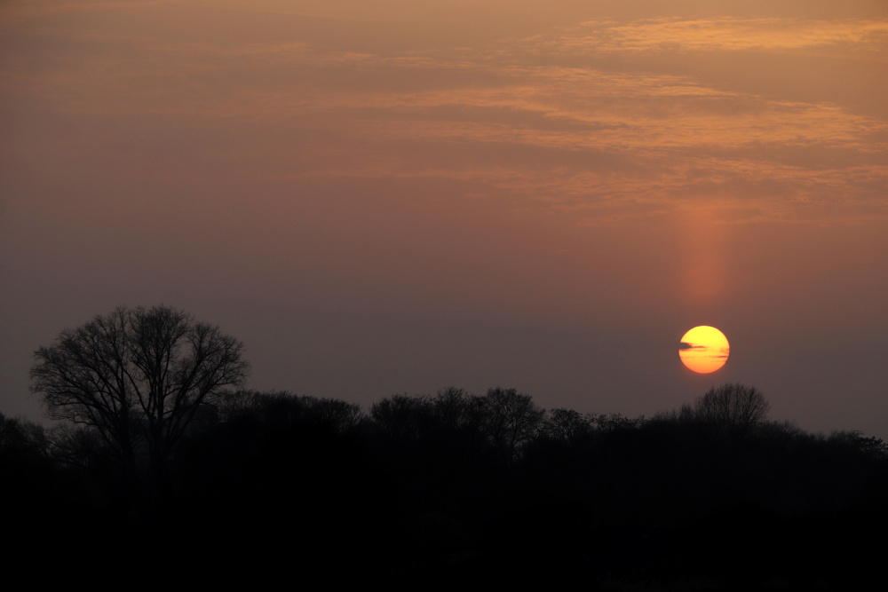 Sonnenuntergang mit Saharastaub - Bild 4