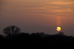 Sonnenuntergang mit Saharastaub - Bild 4