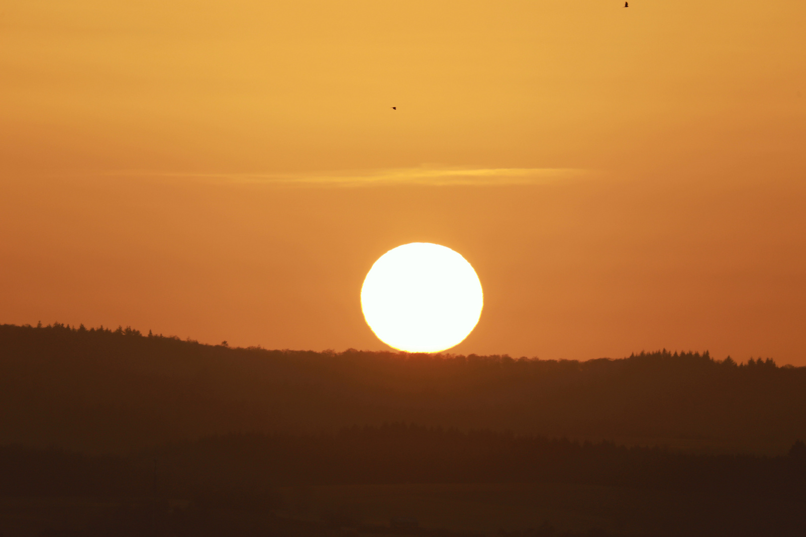 Sonnenuntergang mit Saharastaub I-V