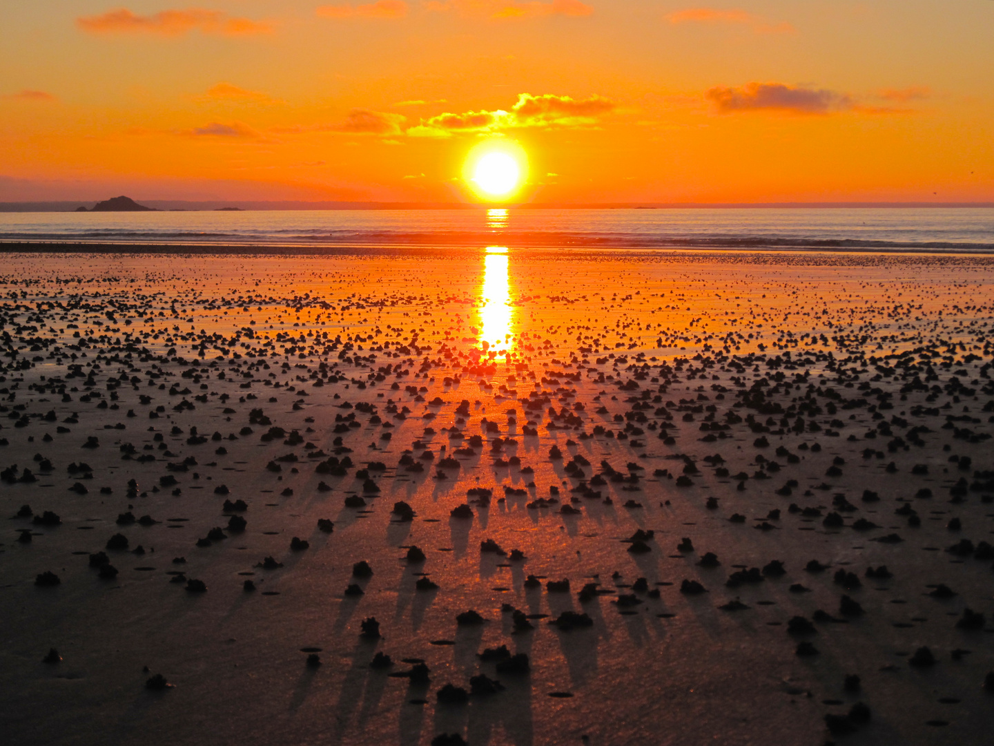 Sonnenuntergang mit Sandwürmer