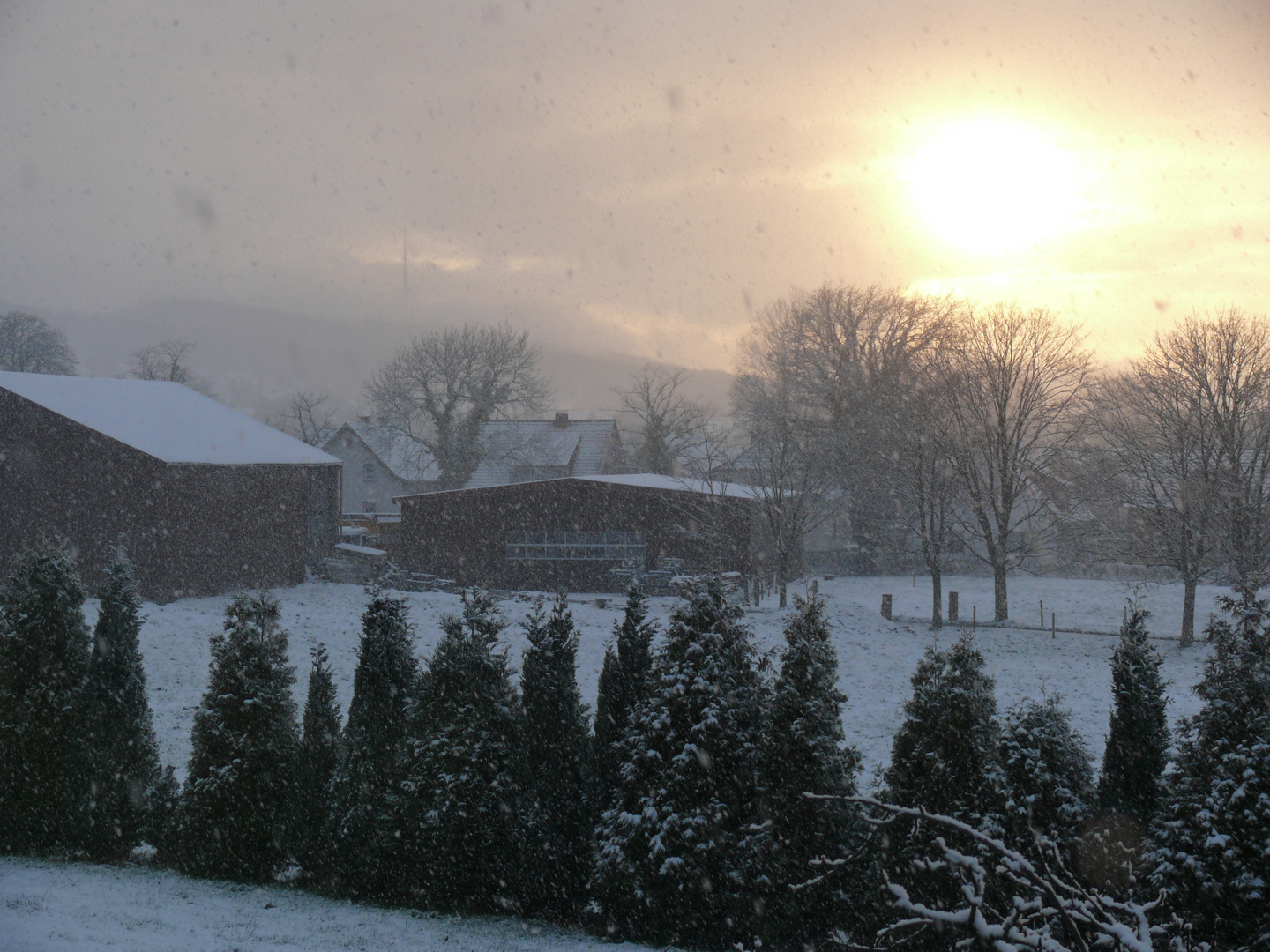 Sonnenuntergang mit Schneegestöber