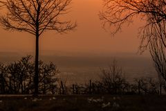 Sonnenuntergang mit Schneeglöckchen ..