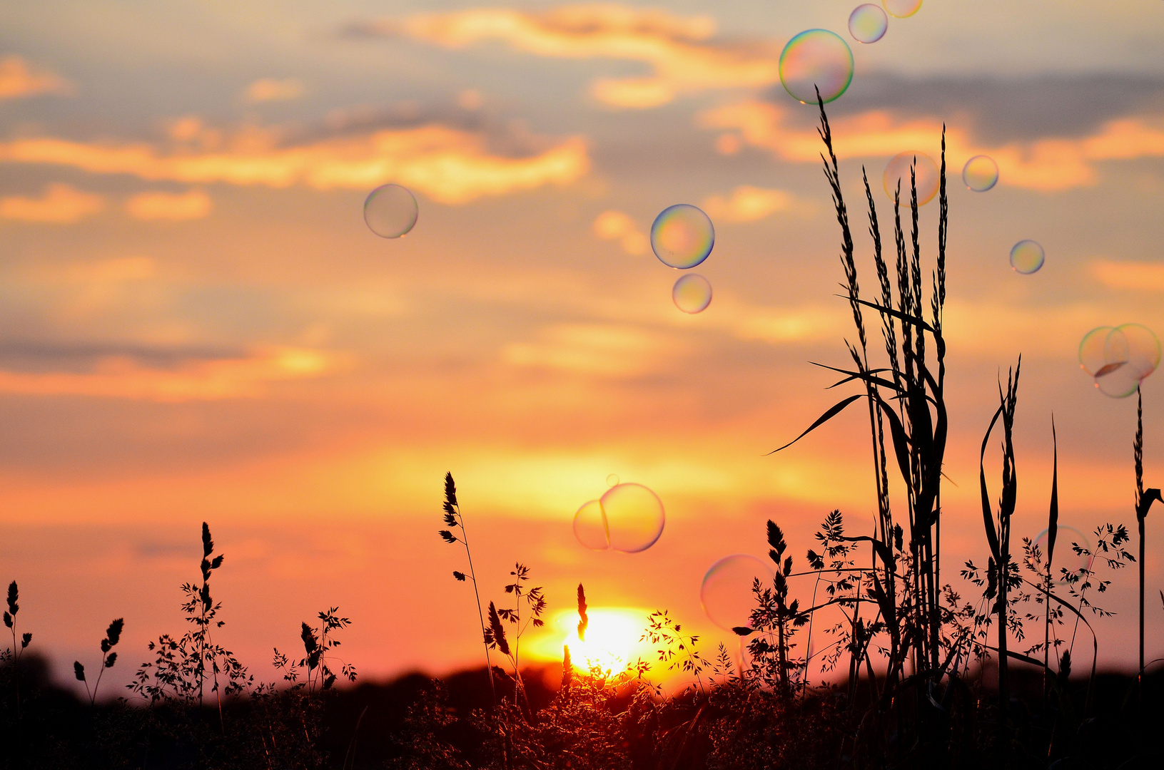 Sonnenuntergang mit Seifenblasen