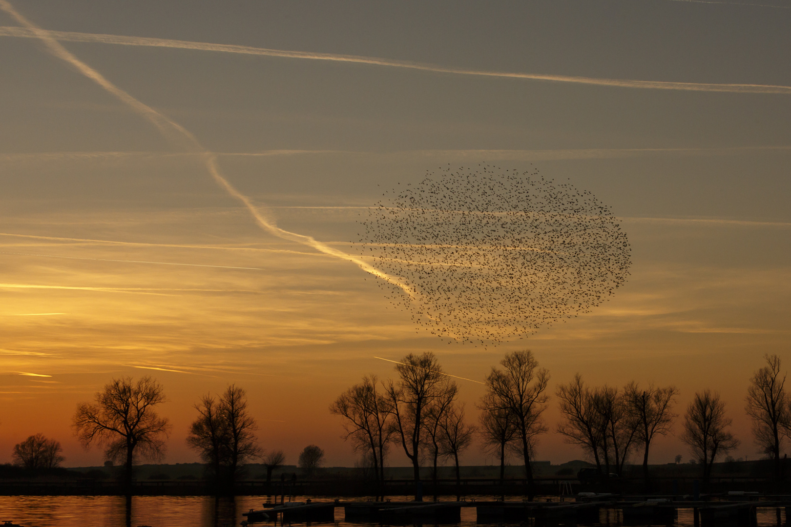 Sonnenuntergang mit Starenflugkugel