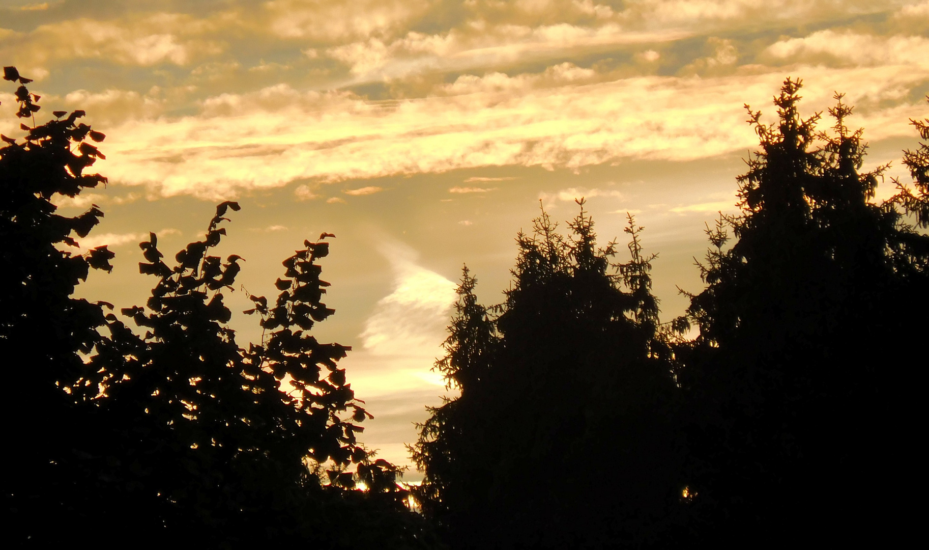 Sonnenuntergang mit vertikaler Wolke