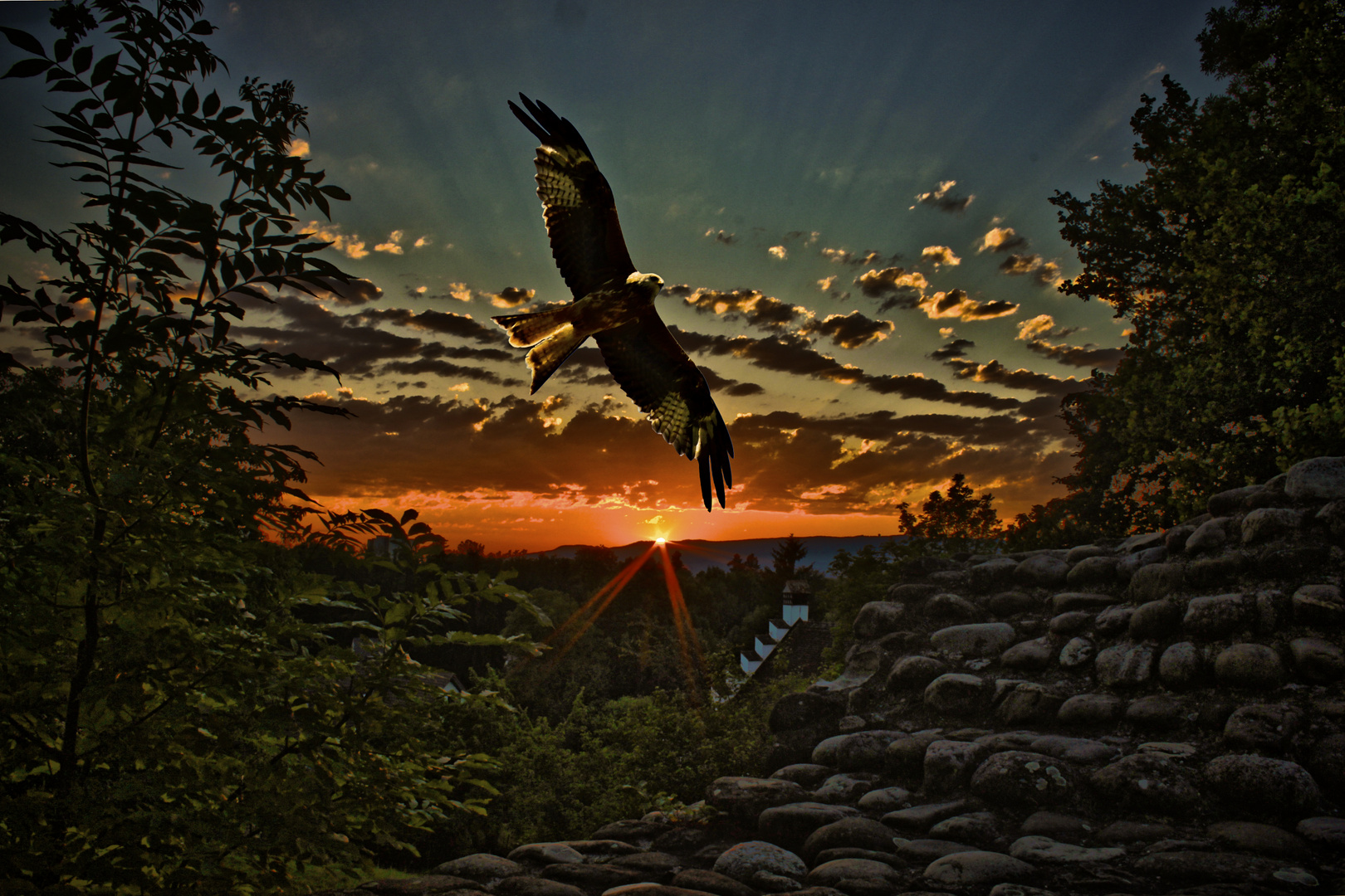 Sonnenuntergang mit Vogel