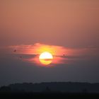 Sonnenuntergang mit Vogel