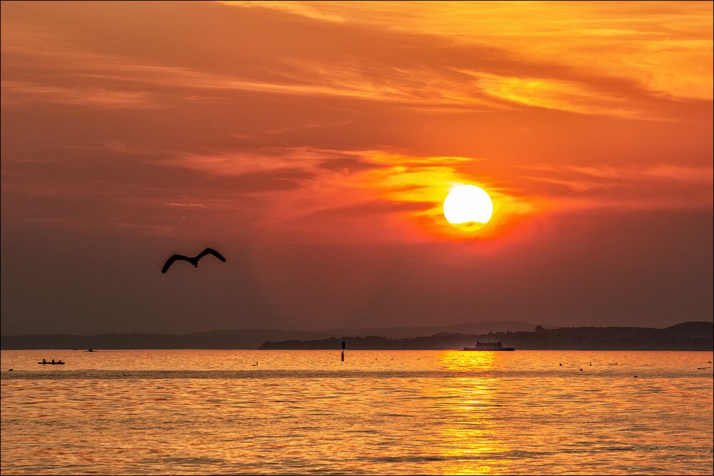 Sonnenuntergang mit Vogel