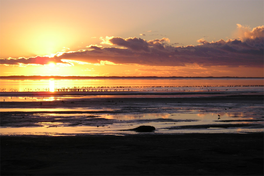 Sonnenuntergang mit Vogelbank