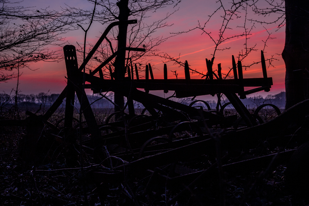 Sonnenuntergang mit Vordergrund