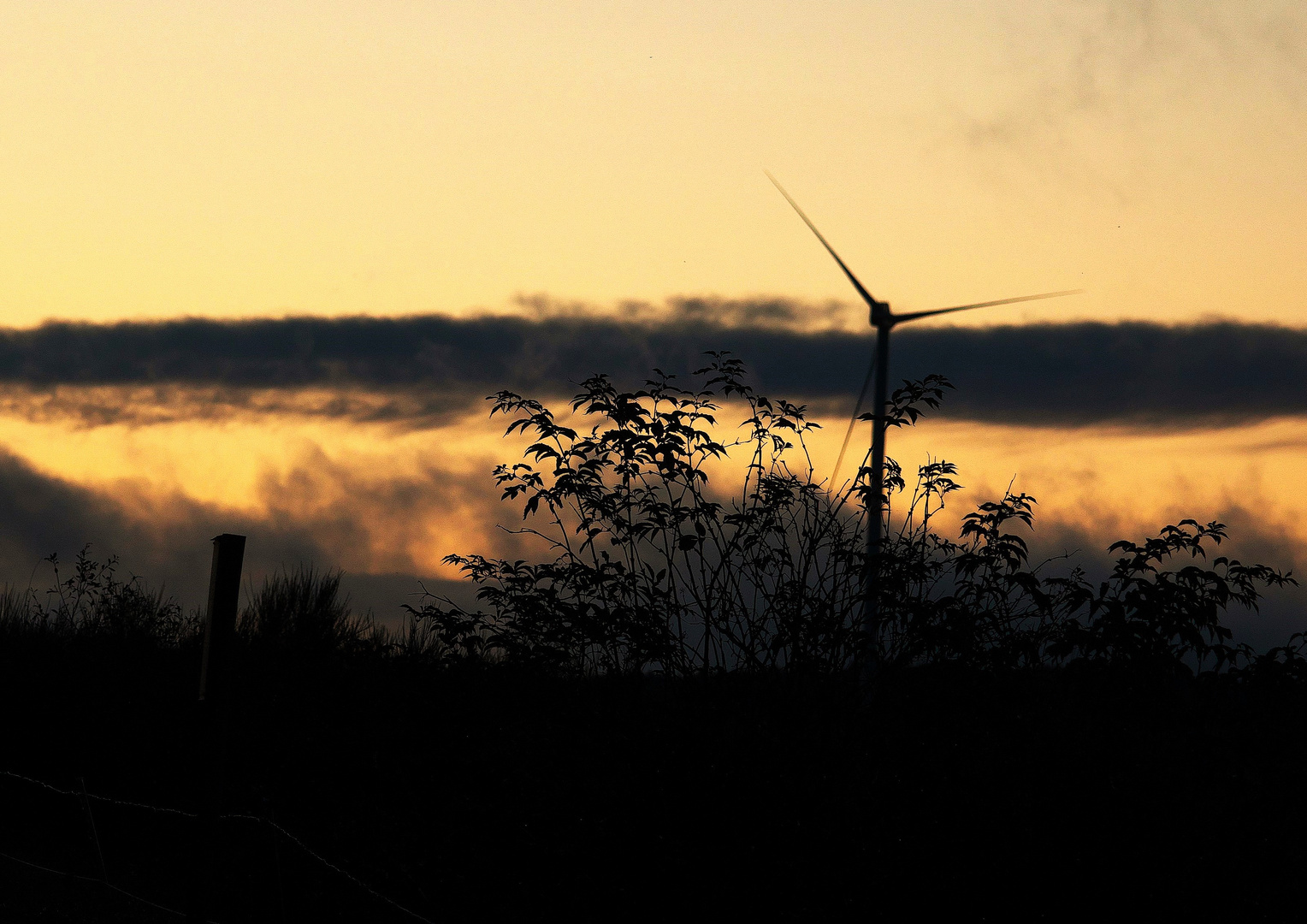 Sonnenuntergang  mit Windrad im Hintergrund !