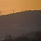 Sonnenuntergang mit Windrädern bei Lichtenborn / Solling.