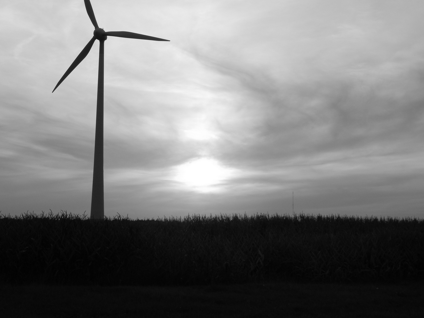 Sonnenuntergang mit Windrädern, schwarz-weiß