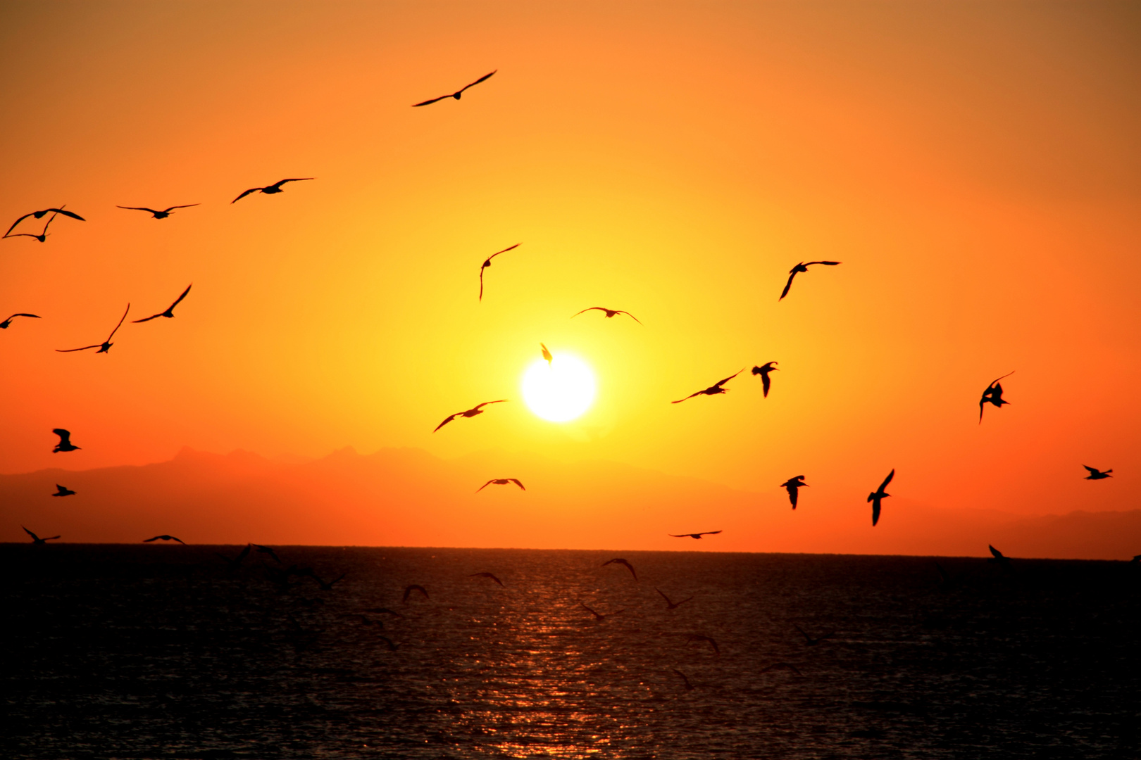 Sonnenuntergang mitten im Roten Meer