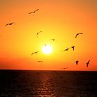 Sonnenuntergang mitten im Roten Meer