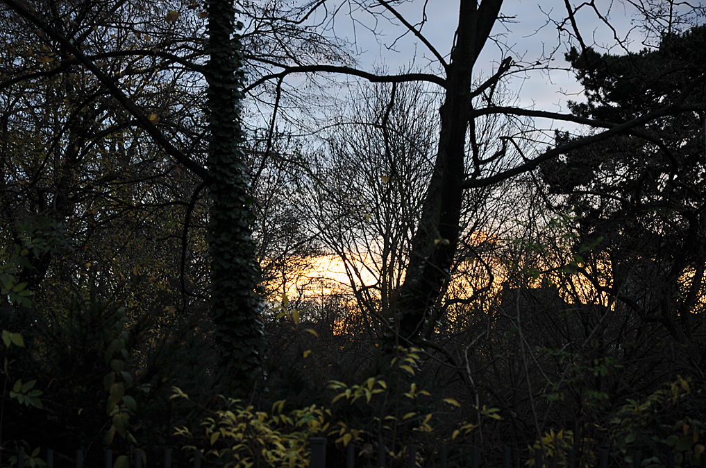 Sonnenuntergang mitten in der Großstadt