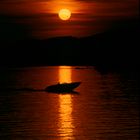 Sonnenuntergang Montreux Schweiz / Suisse Genfersee / Lac Leman