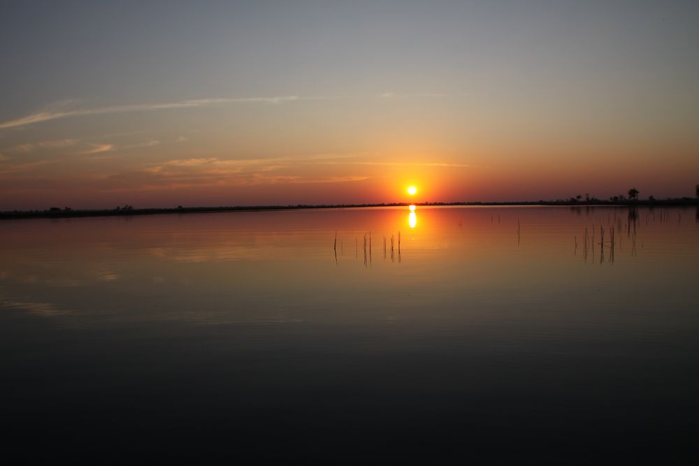 Sonnenuntergang Moremi Botswana  (2)