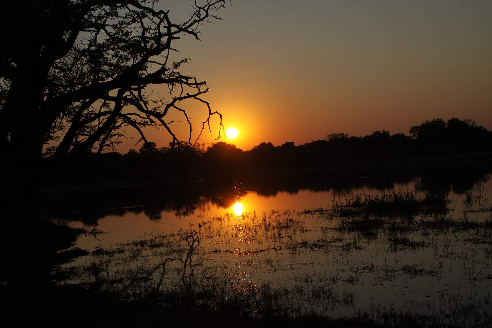 Sonnenuntergang Moremi Botswana  (4)