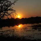 Sonnenuntergang Moremi Botswana  (4)