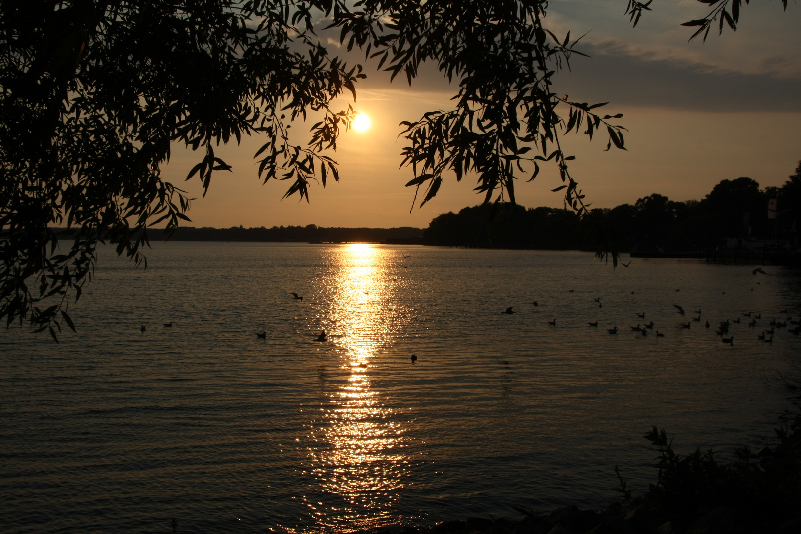 Sonnenuntergang Müritz