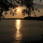 Sonnenuntergang Müritz