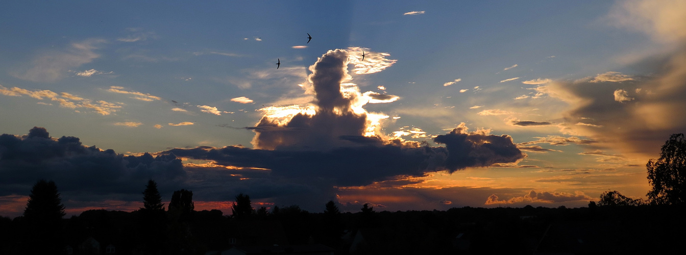 Sonnenuntergang - "Mystischer Rausch"