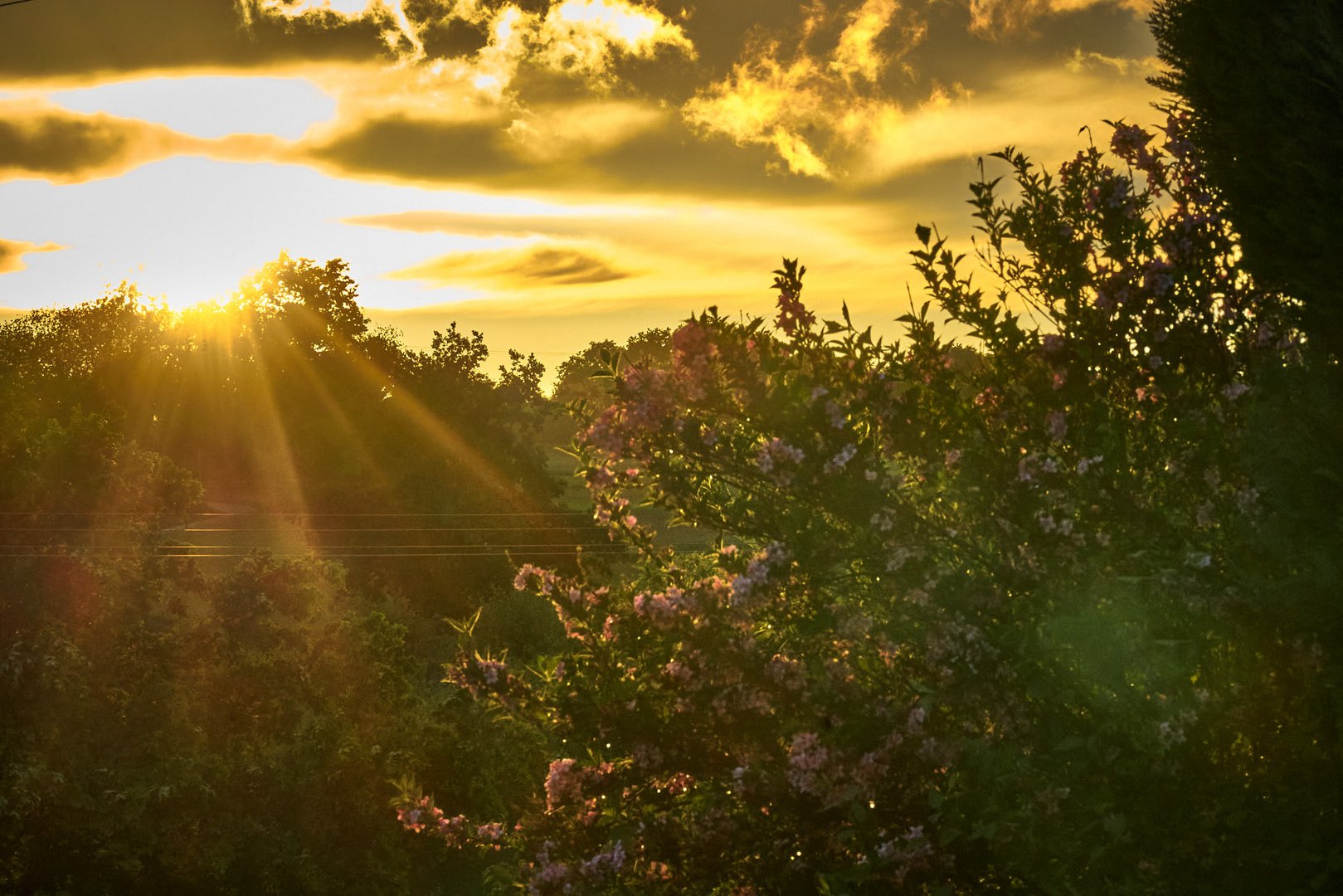 Sonnenuntergang nach dem Regen 