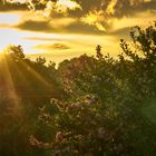 Sonnenuntergang nach dem Regen 