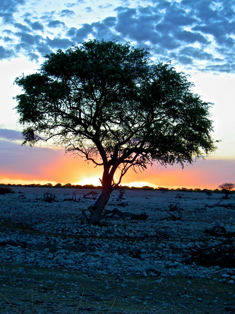 Sonnenuntergang nach einem erlebnisreichen Tag in Namibia