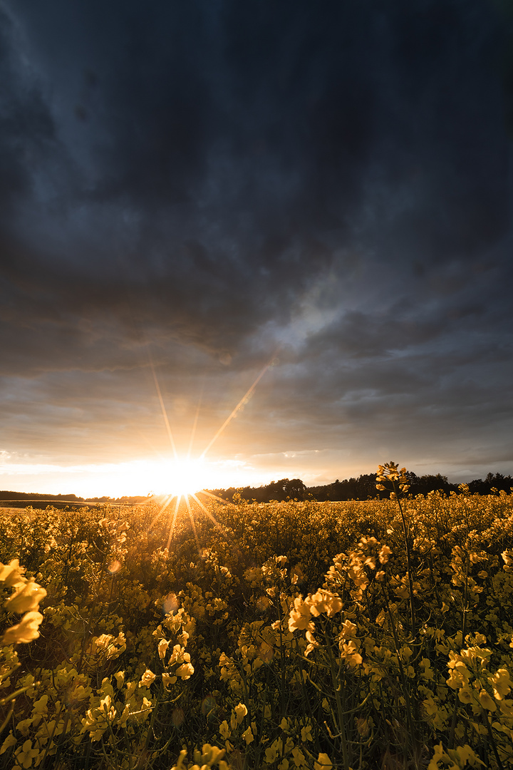 Sonnenuntergang nach einem Gewitter