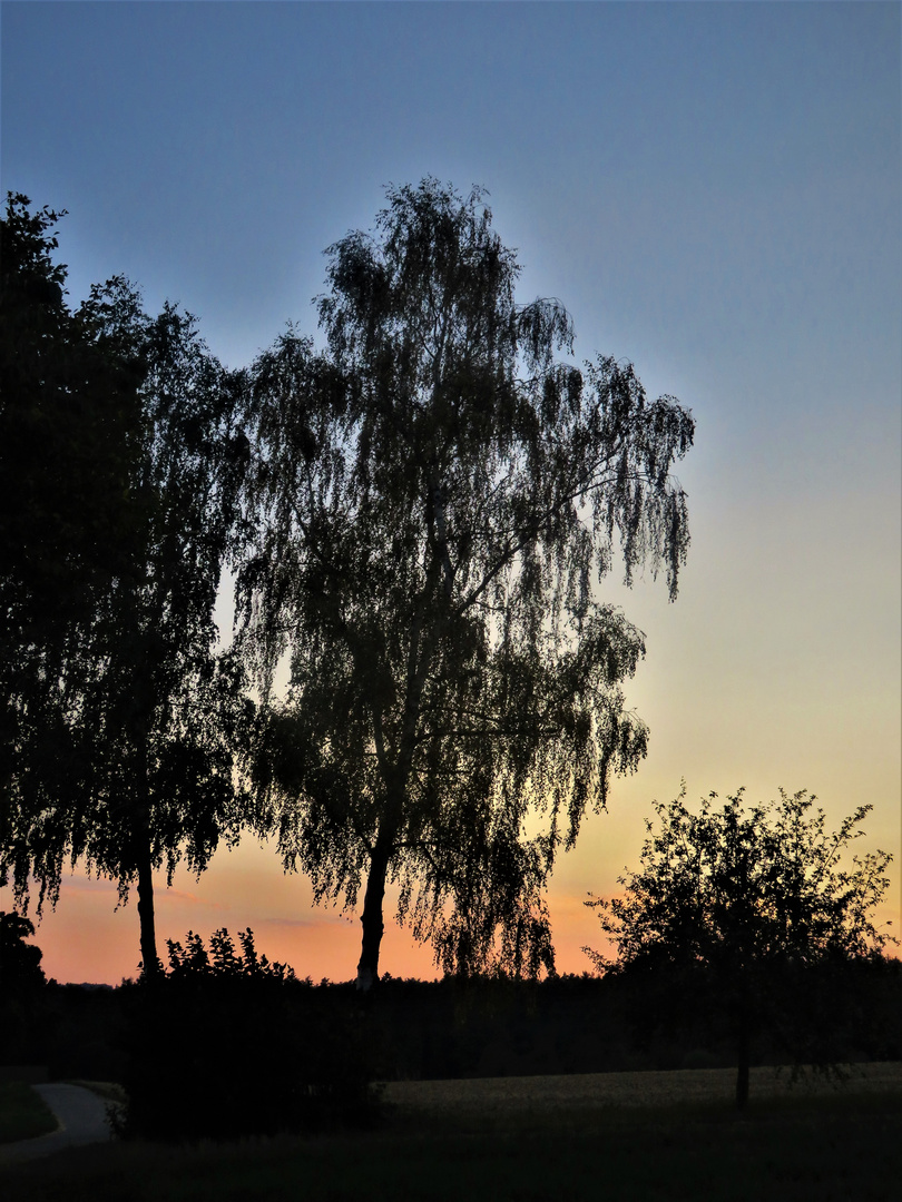 Sonnenuntergang nach einem glutheißen Tag 