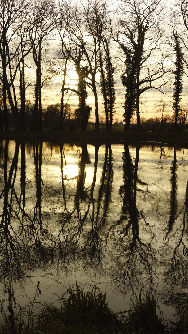 Sonnenuntergang nach einem tollen Frühlingstag im Krumker Park