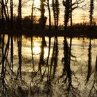 Sonnenuntergang nach einem tollen Frühlingstag im Krumker Park