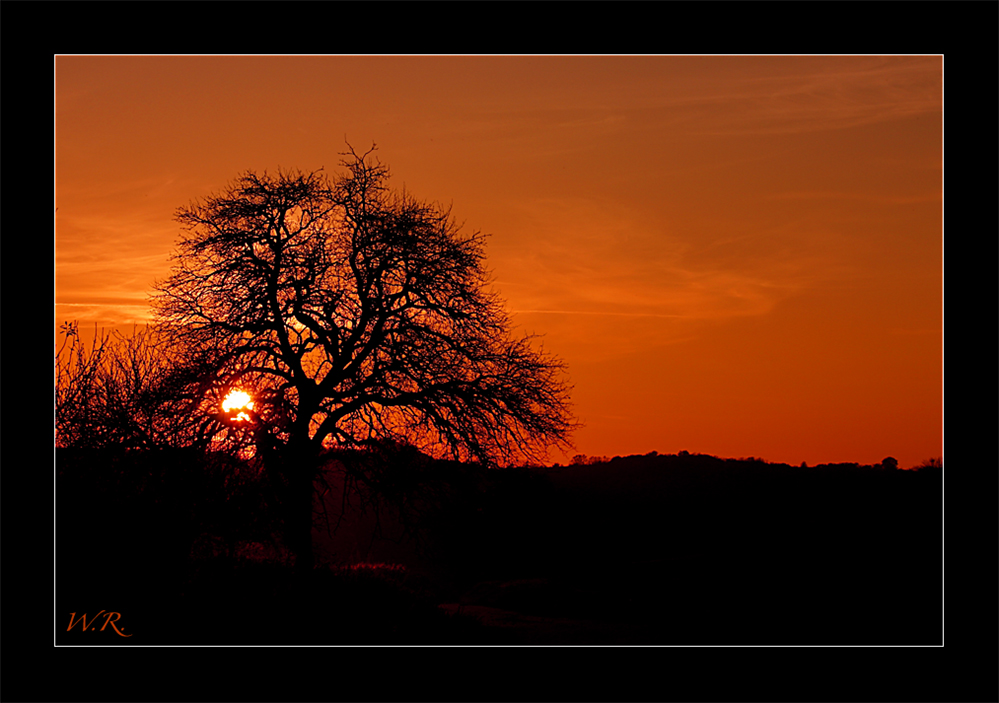 Sonnenuntergang nach einer Wanderung im Kraichgau....