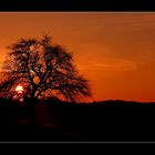 Sonnenuntergang nach einer Wanderung im Kraichgau....