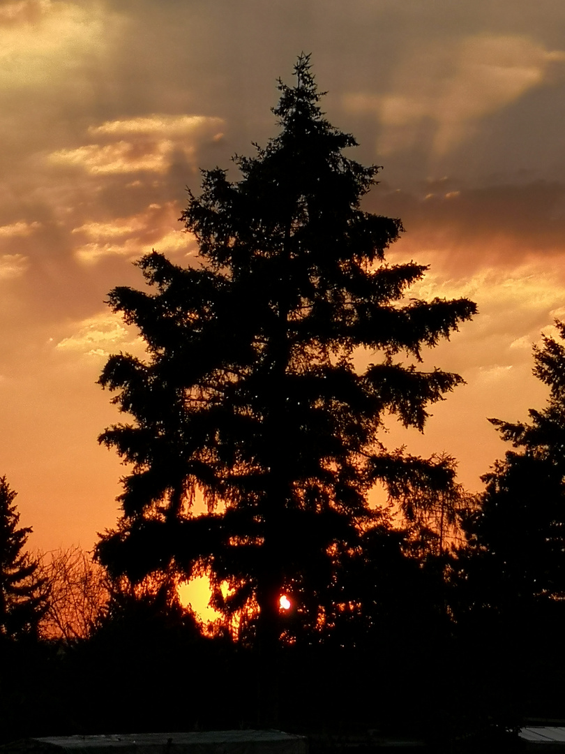 Sonnenuntergang nach heißem Tag im Juli