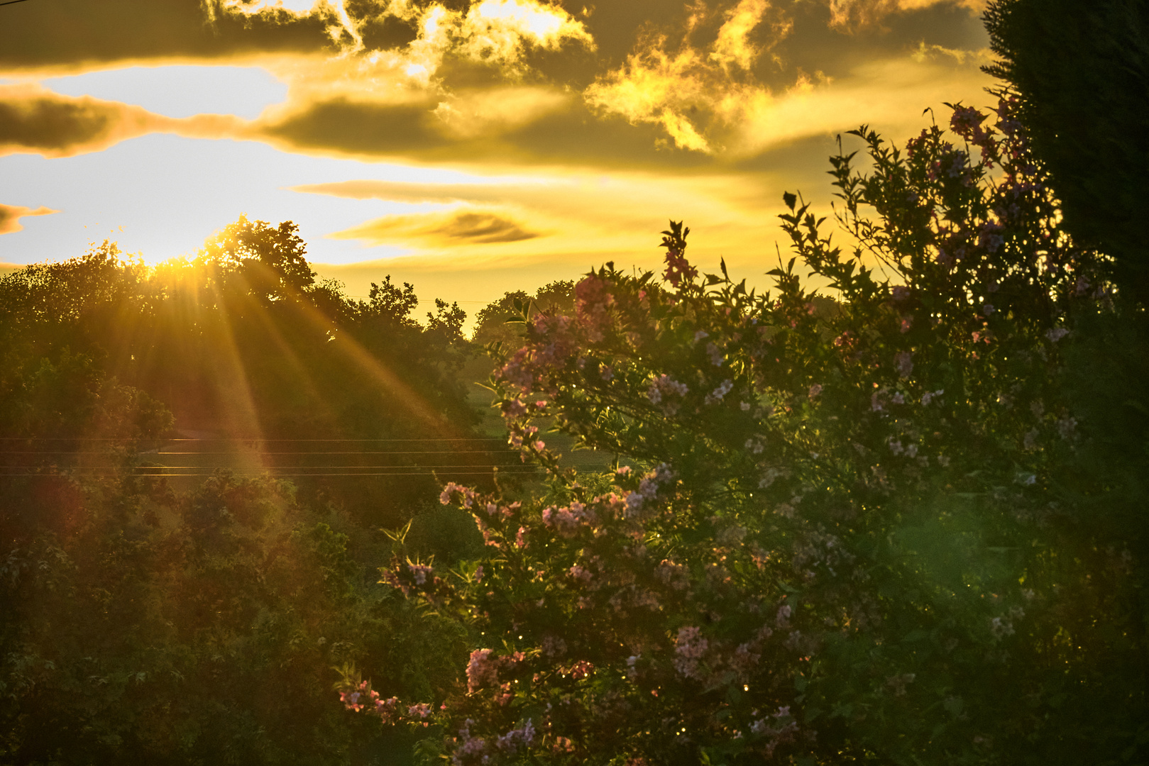 Sonnenuntergang nach Regen II