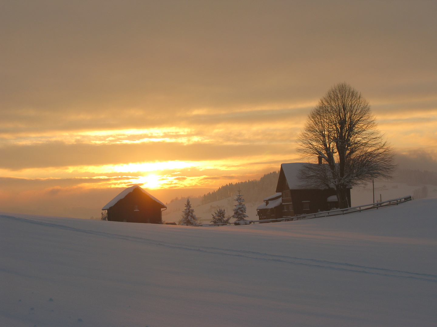 Sonnenuntergang nach Schneefall im Appenzellerland (Stein AR)