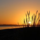 Sonnenuntergang Nähe Eckernförde I