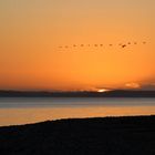 Sonnenuntergang Nähe Eckernförde II