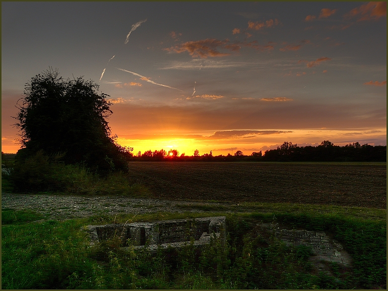 Sonnenuntergang nähe Riedstadt