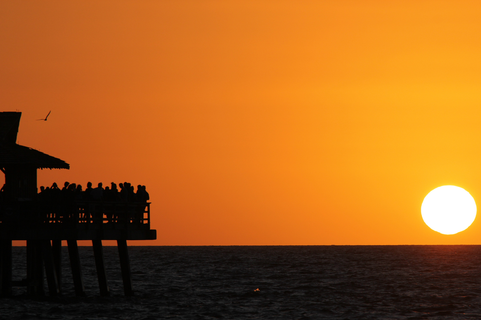 Sonnenuntergang Naples Florida