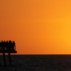 Sonnenuntergang Naples Florida