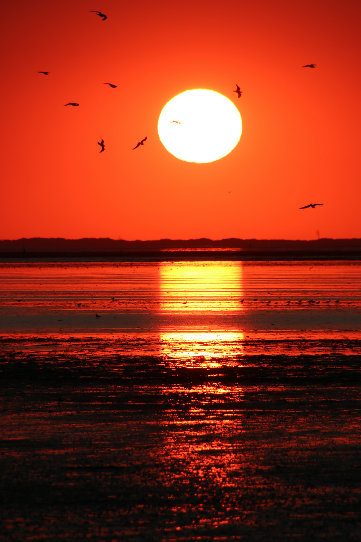 Sonnenuntergang Neuharlingersiel