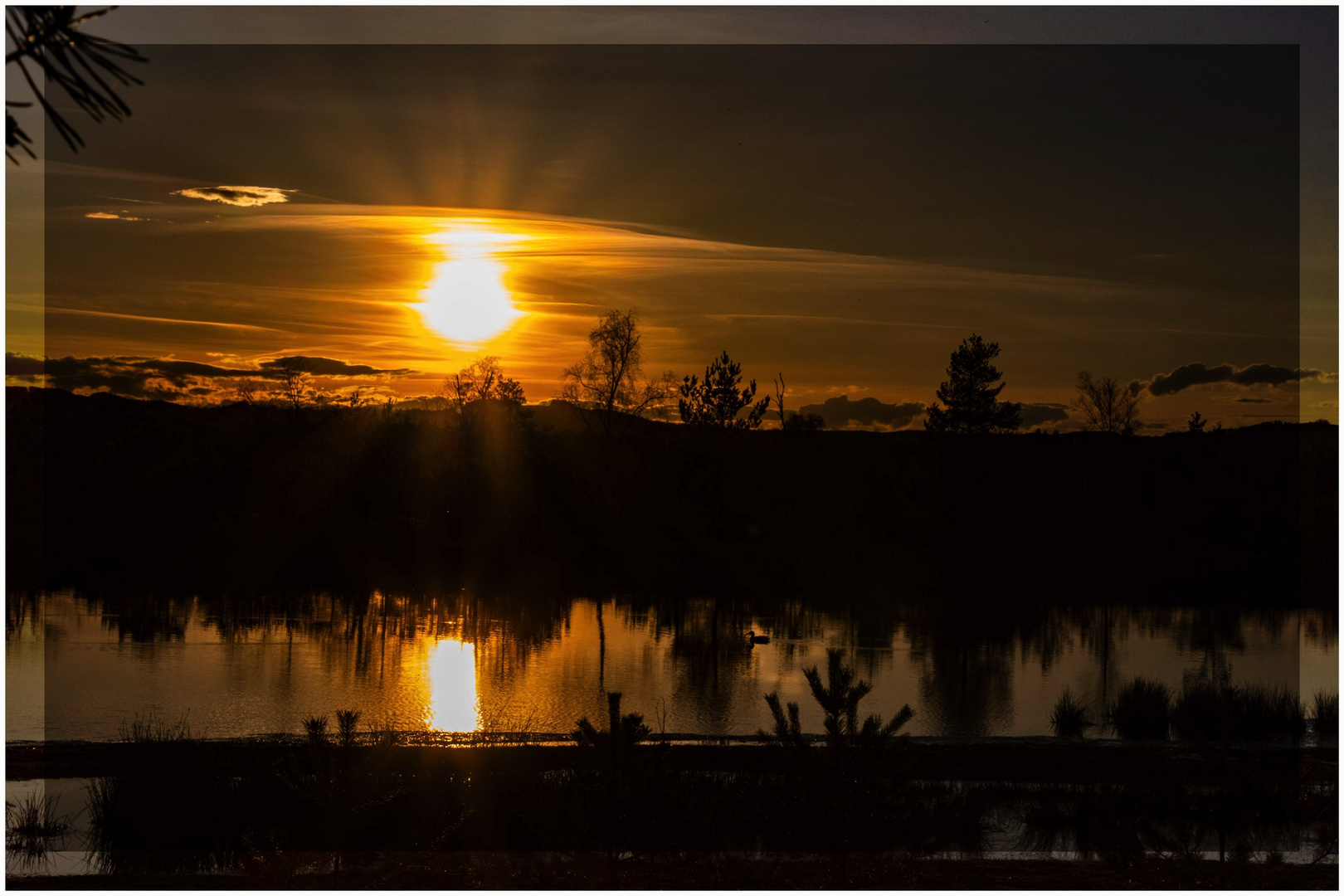 Sonnenuntergang nicklheimer moor