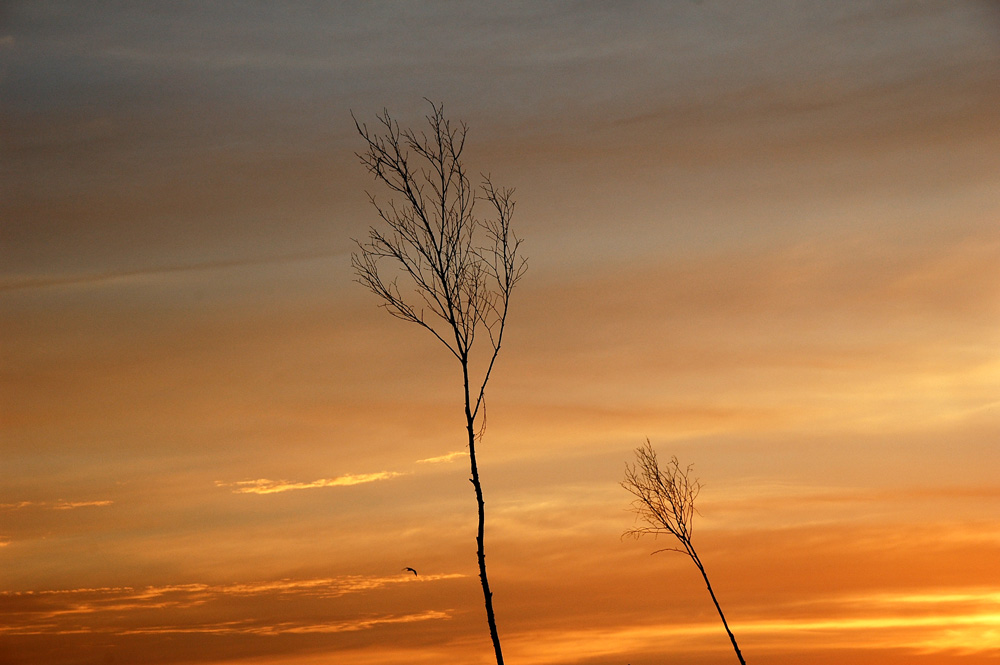 Sonnenuntergang Norderney