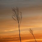 Sonnenuntergang Norderney